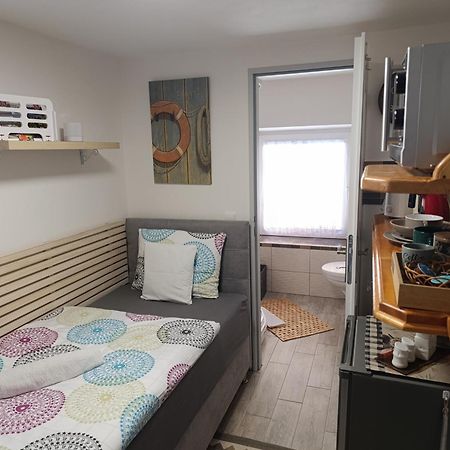 Appartement U Bocmana S Vyhledem Na Zamek A Labe à Decin Extérieur photo