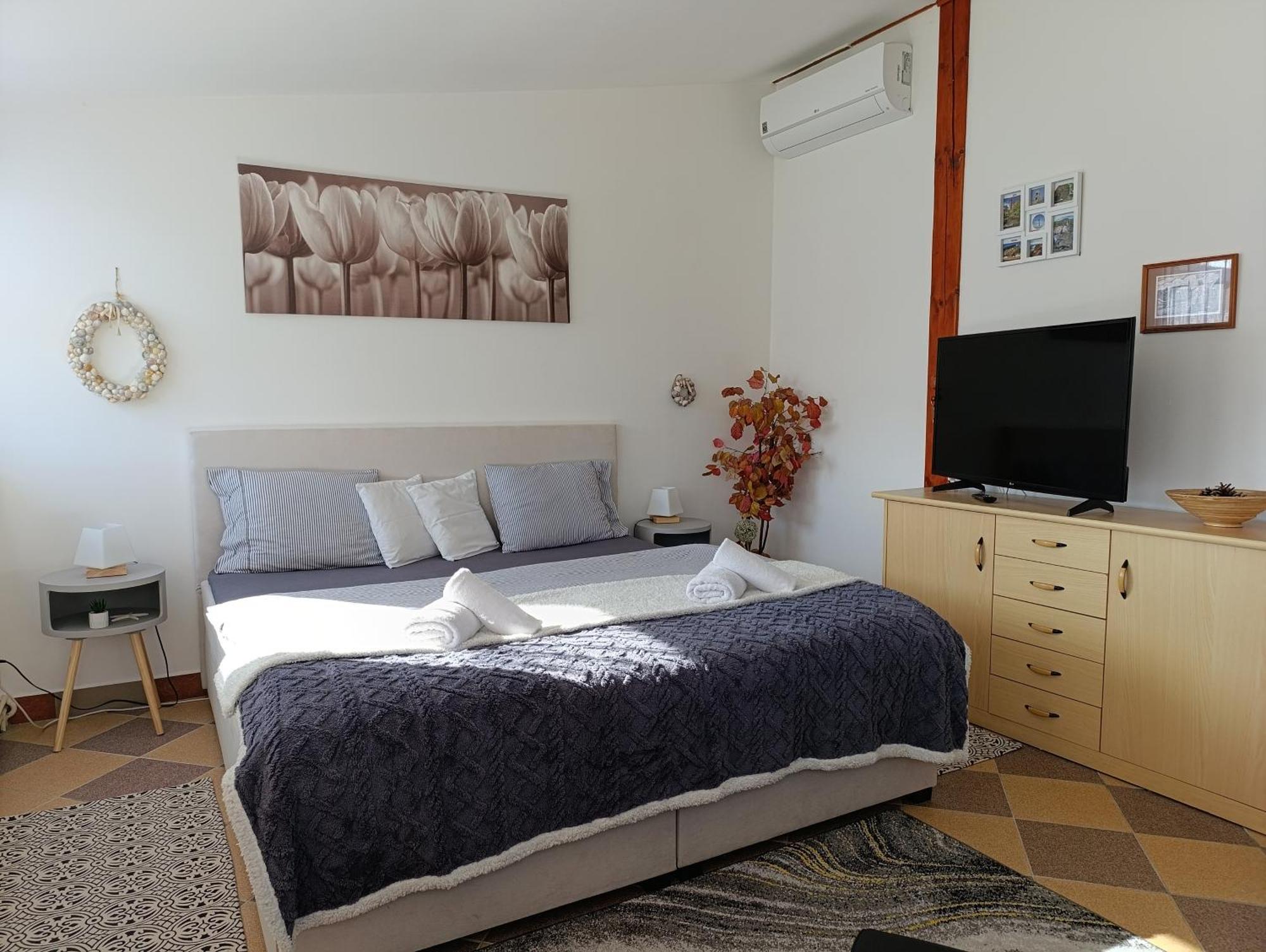 Appartement U Bocmana S Vyhledem Na Zamek A Labe à Decin Extérieur photo