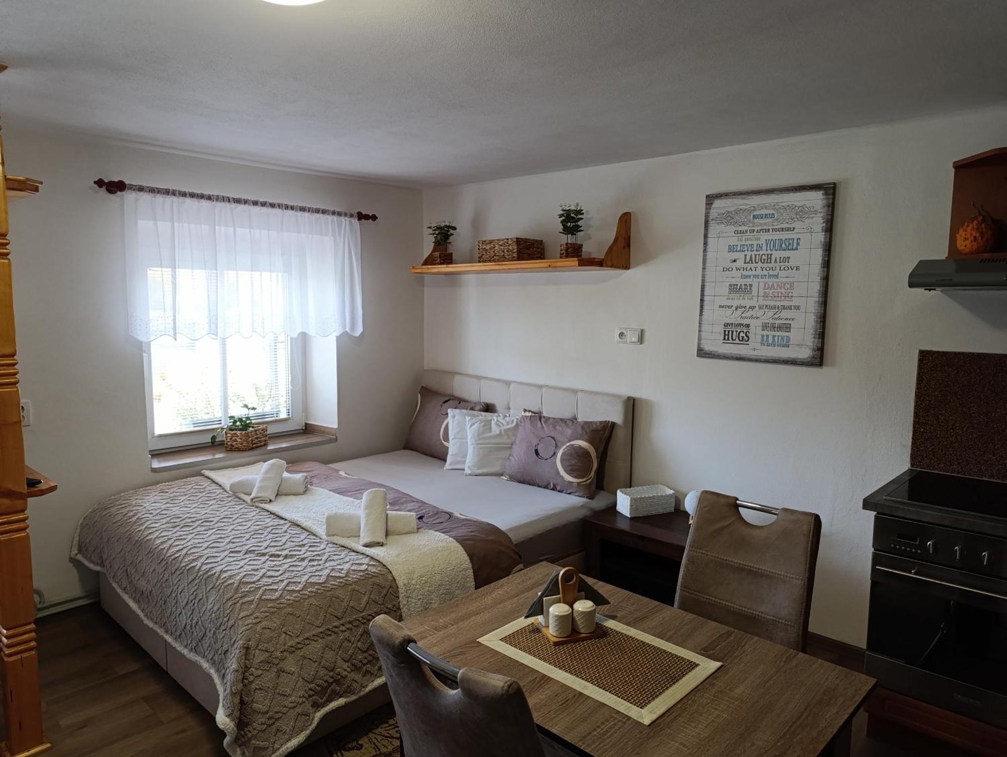 Appartement U Bocmana S Vyhledem Na Zamek A Labe à Decin Extérieur photo