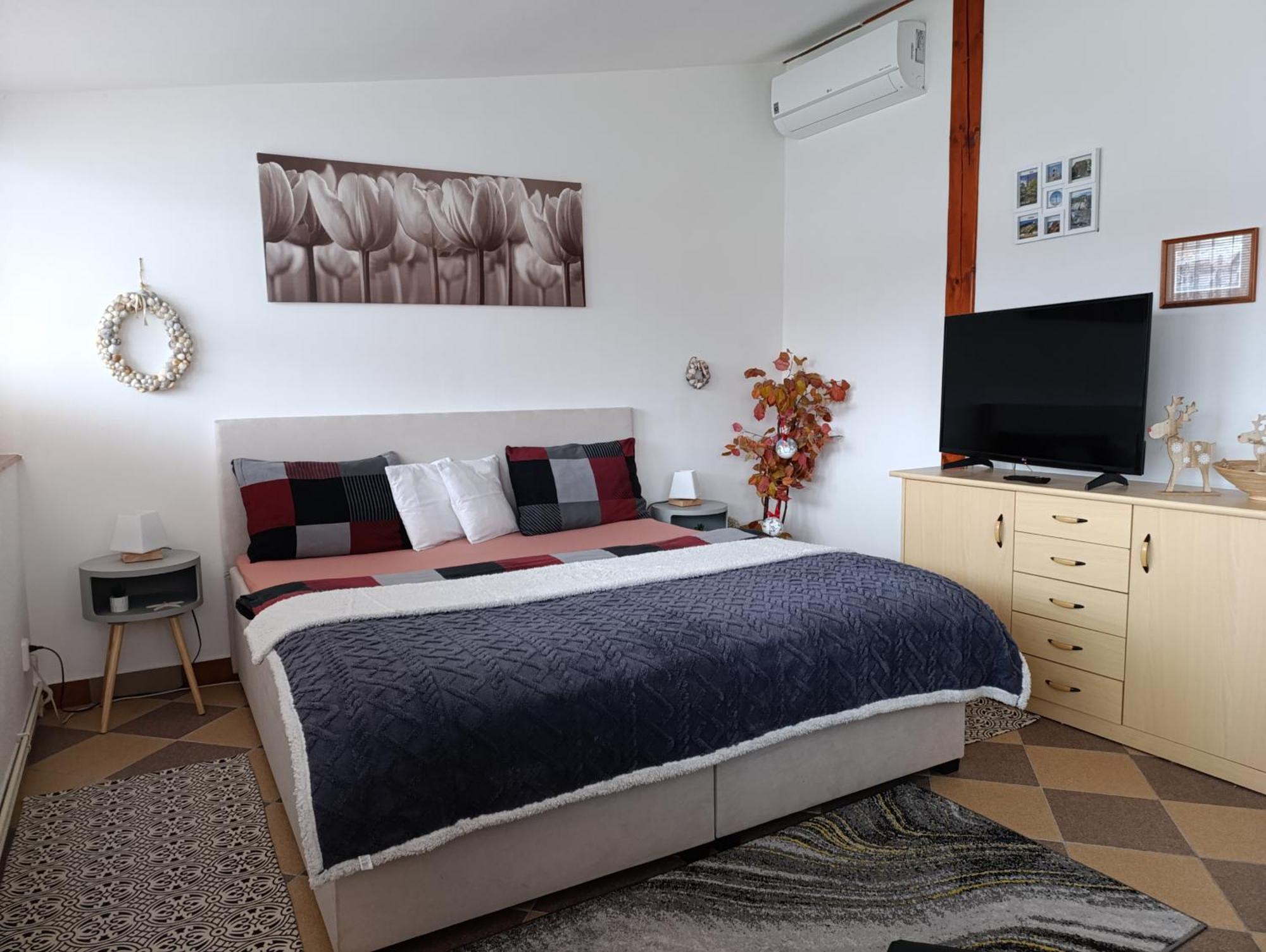 Appartement U Bocmana S Vyhledem Na Zamek A Labe à Decin Extérieur photo