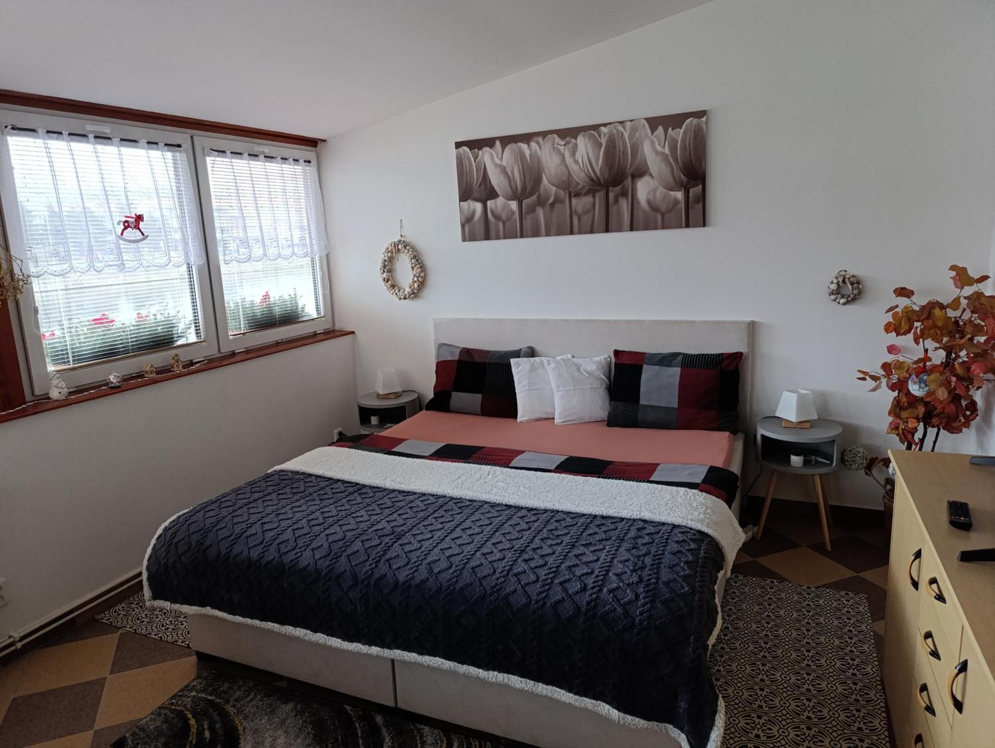 Appartement U Bocmana S Vyhledem Na Zamek A Labe à Decin Extérieur photo