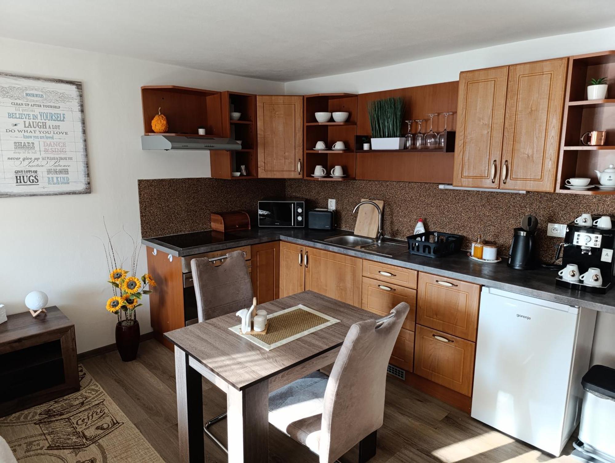 Appartement U Bocmana S Vyhledem Na Zamek A Labe à Decin Extérieur photo