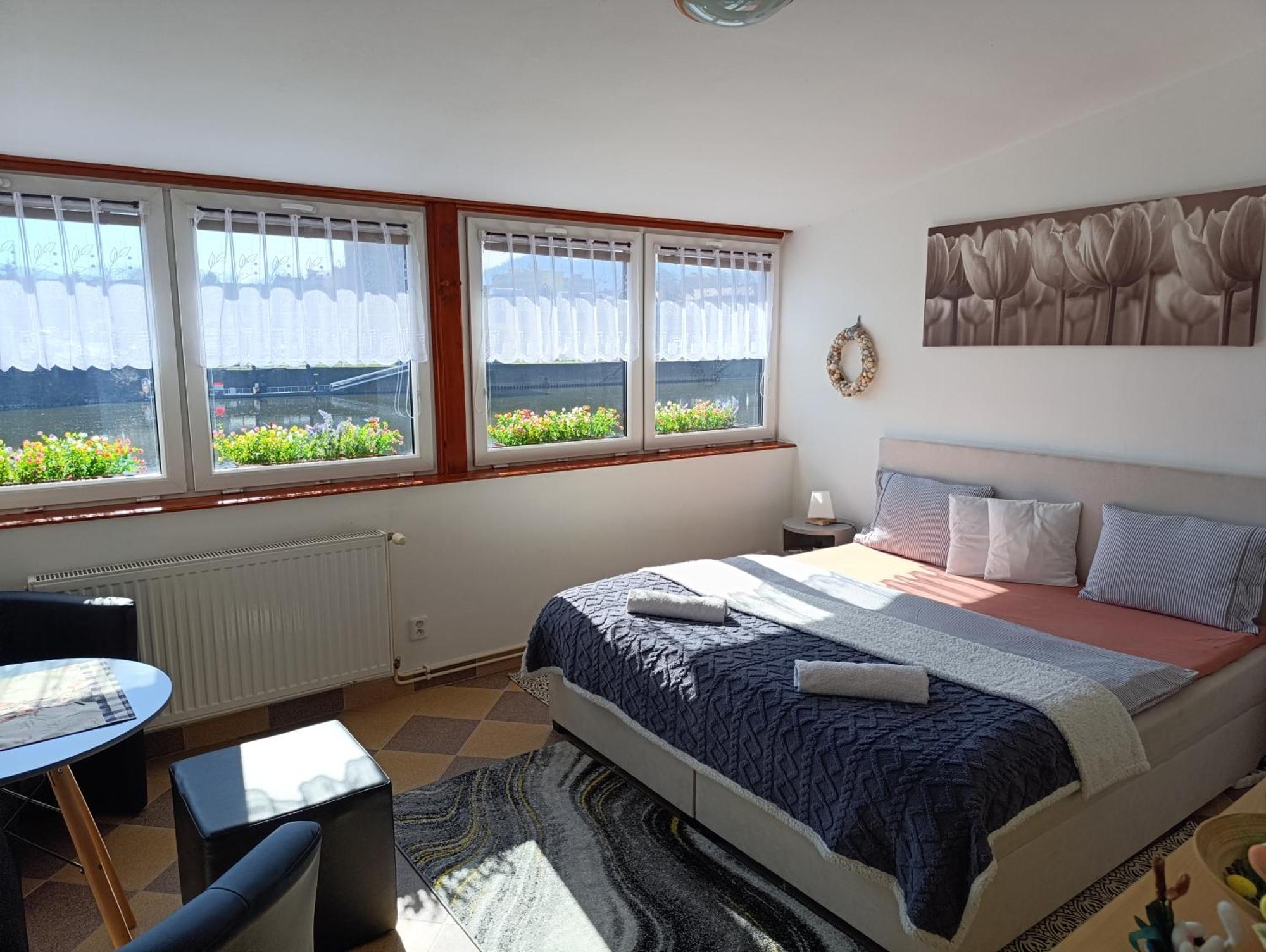 Appartement U Bocmana S Vyhledem Na Zamek A Labe à Decin Extérieur photo